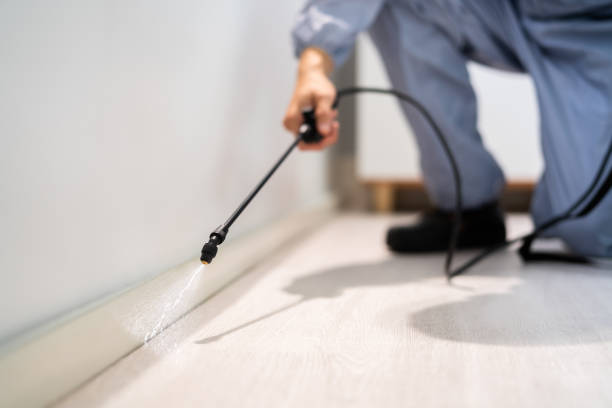 Licensed Ant Control service in Clinton County County, IA - Nex Pest Control