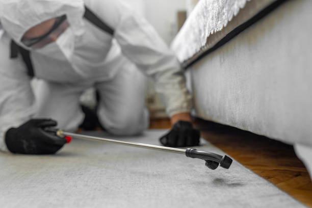 Professional Ant Control technician working in Clinton County County, IA